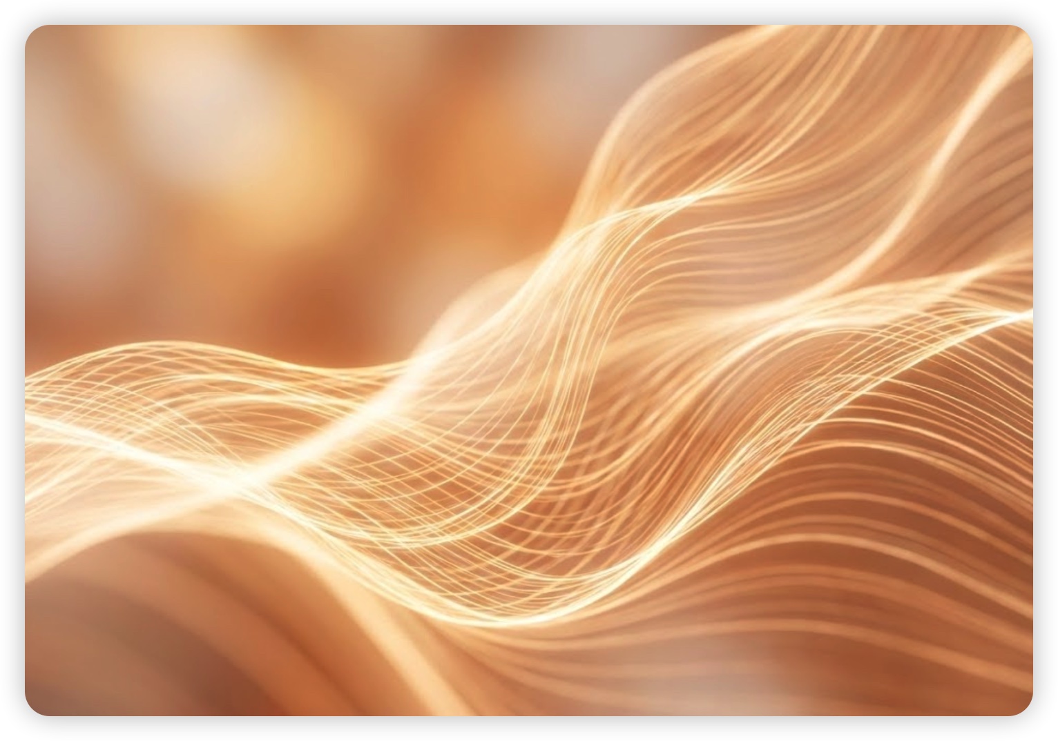 上海人文交汇科技发展有限公司